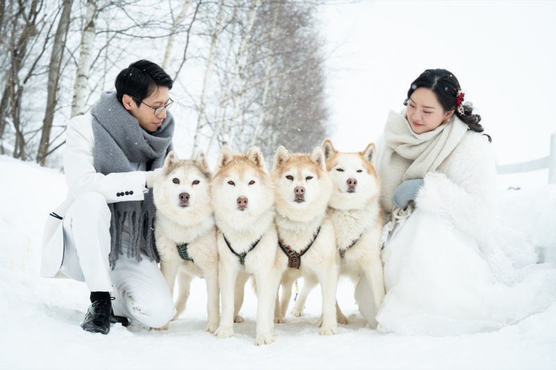 冬美瑛名物　ハスキーと一緒