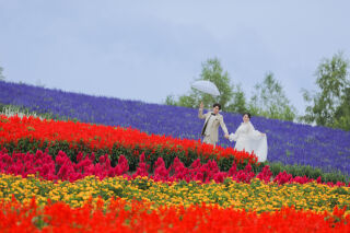 美瑛・富良野はどの季節も魅力的なフォトが残せます✨!