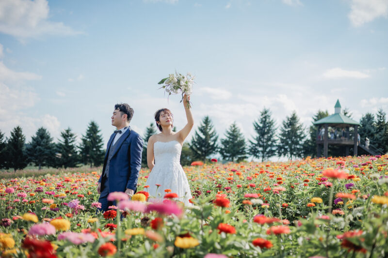 夏の北海道旅行に!美瑛の花畑が見ごろな8月^^