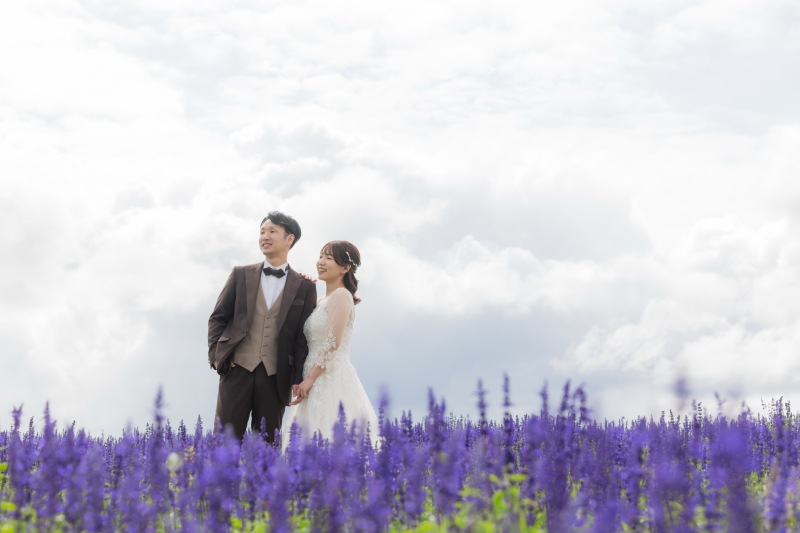 美瑛のお花畑、今まさに見頃です!