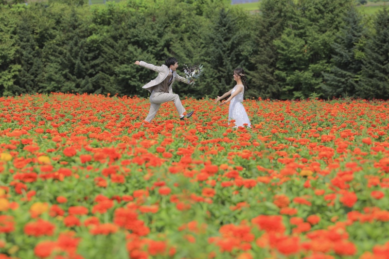 8月の美瑛・富良野のお花畑を大 特 集〜♡