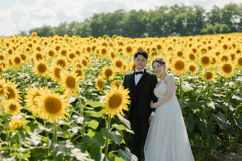ラベンダーが終わっても北海道は終わらない!8月のお花畑フォト