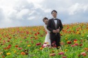 美瑛のお花畑、今まさに見頃です!