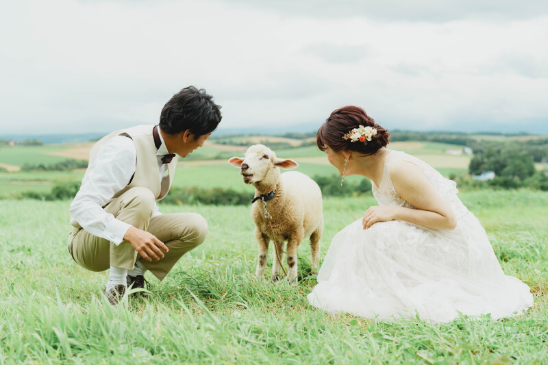 動物と一緒に撮影!!