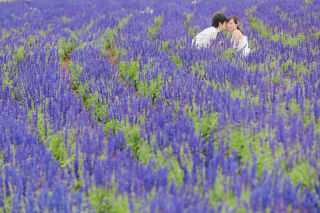 8月の美瑛は花畑も充実！！多彩の花畑で撮影しませんか！？