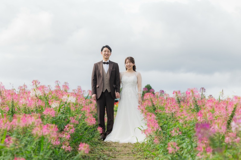 美瑛のお花畑、今まさに見頃です!