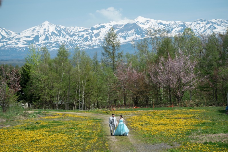 美瑛町の桜は5月開花
