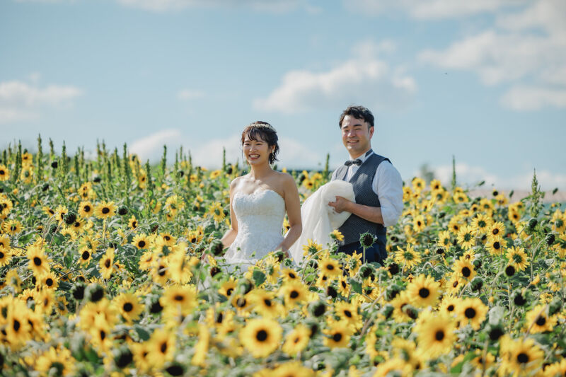 夏の北海道旅行に!美瑛の花畑が見ごろな8月^^