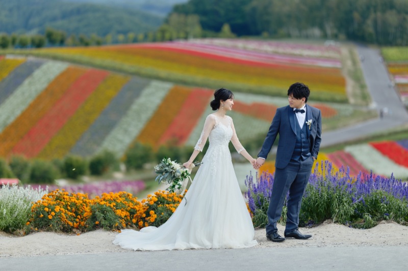 9月の美瑛で楽しめる花|四季彩の丘