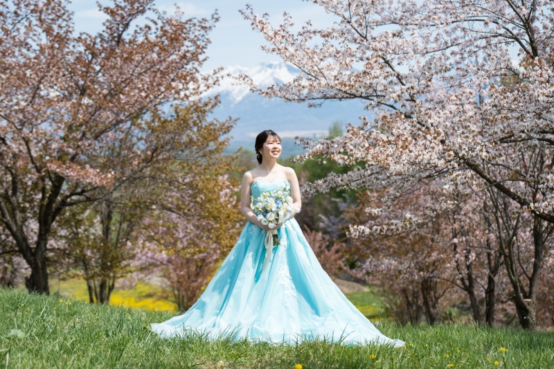 美瑛町の桜は5月開花