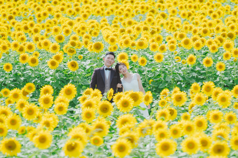 2024年夏の撮影は10月末まで!ご予約受付中です!