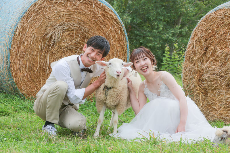 8月でのファームズロケーションはイチオシですよ✨