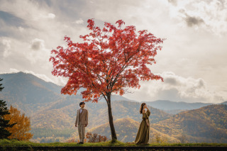 黄金の木々に囲まれて季節感溢れるウェディングフォト✨