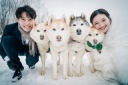 雪景色だけじゃない!冬の美瑛で出会える動物たち