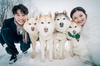 雪景色だけじゃない！冬の美瑛で出会える動物たち