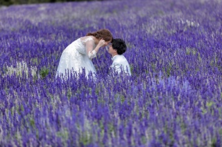 ブルーサルビアに囲まれながら秋の北海道でロケフォトしませんか？
