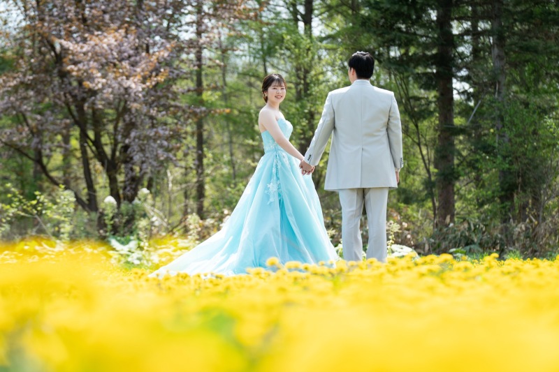 美瑛町の桜は5月開花