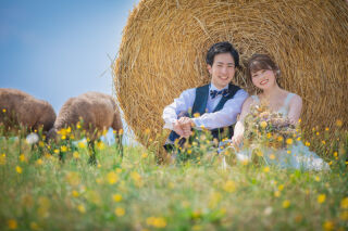 北海道での撮影ならファームズでのロケーションは必見✨