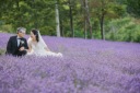 7月予約まもなく受付満枠です!お急ぎください。