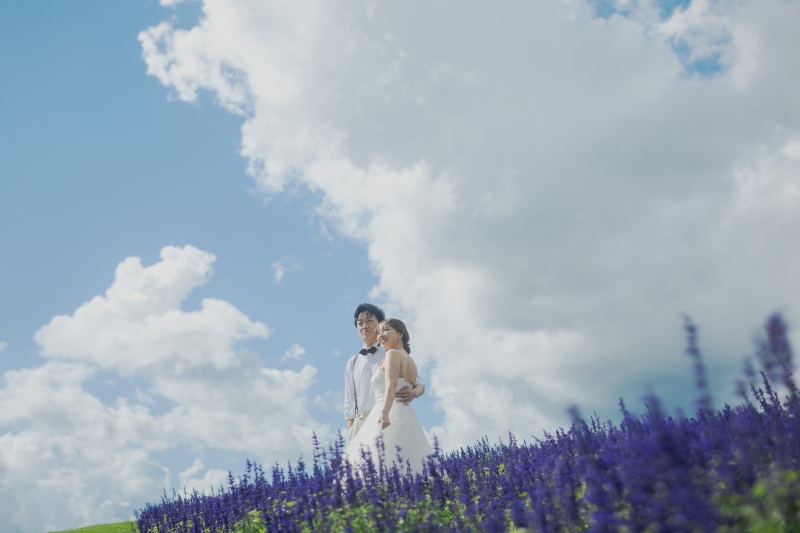 8月の美瑛・富良野のお花畑を大 特 集〜♡