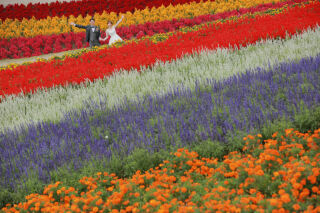 ラベンダーだけじゃない！カラフルなお花に囲まれたウェディングフォト