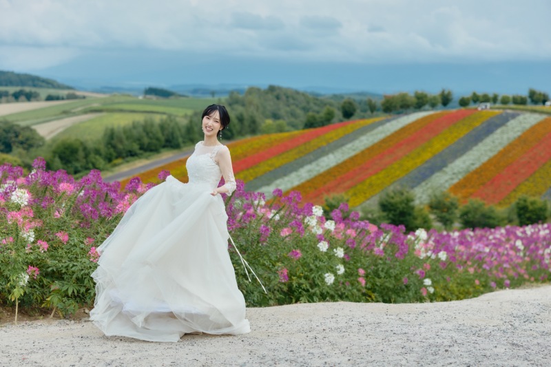 9月の美瑛で楽しめる花|四季彩の丘
