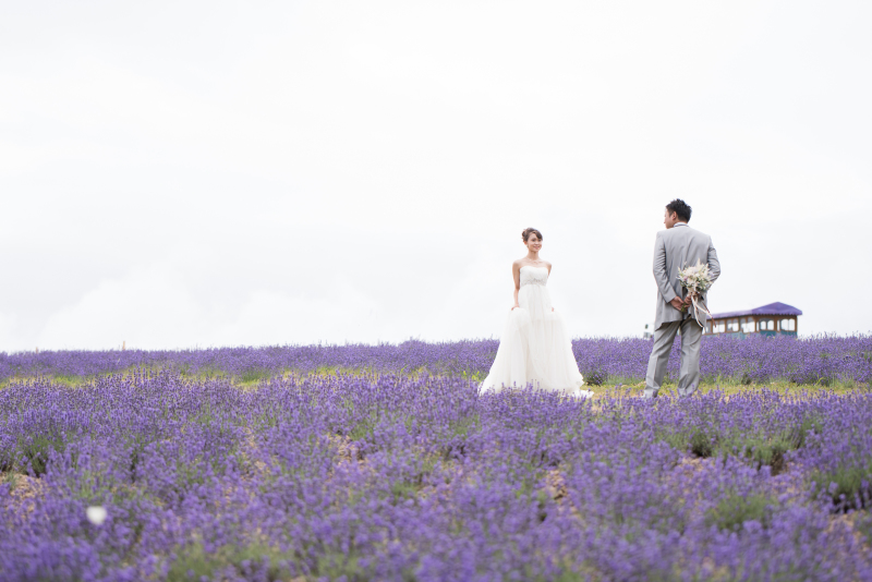 北海道お花畑で結婚写真。ラベンダーひまわりだけじゃない５つの手順