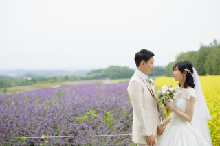 ７月の四季彩の丘③