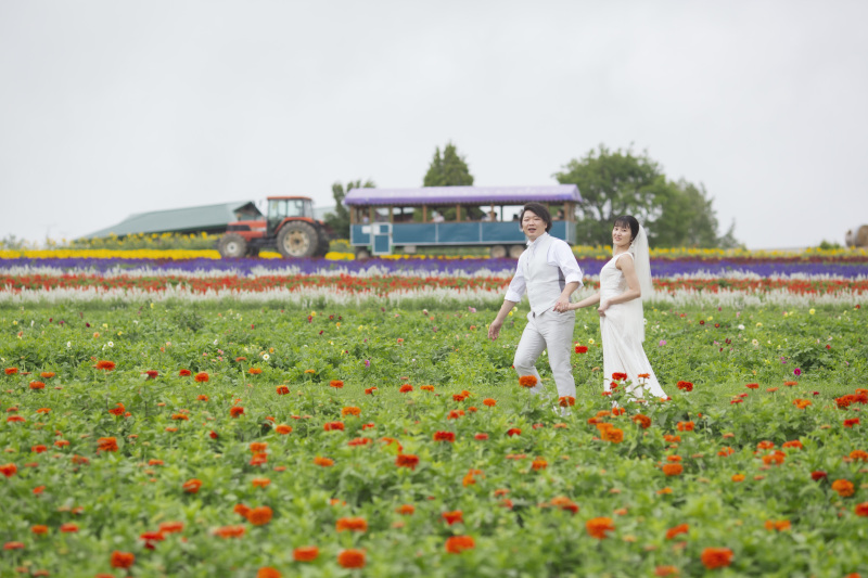 7月中旬の日の出公園、フラワーランドかみふらの2つの花畑と1本道3か所巡遊
