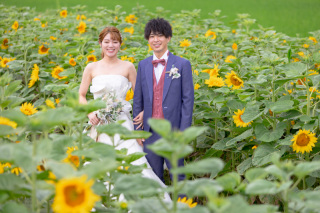 美瑛・富良野　　ひまわり　1本道　牧草ロール　ラベンダーその１