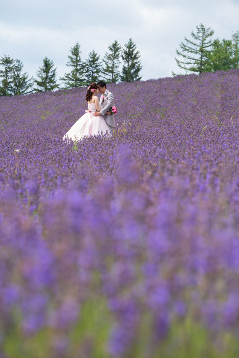 北海道お花畑で結婚写真。ラベンダーひまわりだけじゃない５つの手順