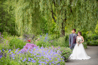 お花畑の中で撮影したいけど、見頃の７月８月で撮影できない方必見！②
