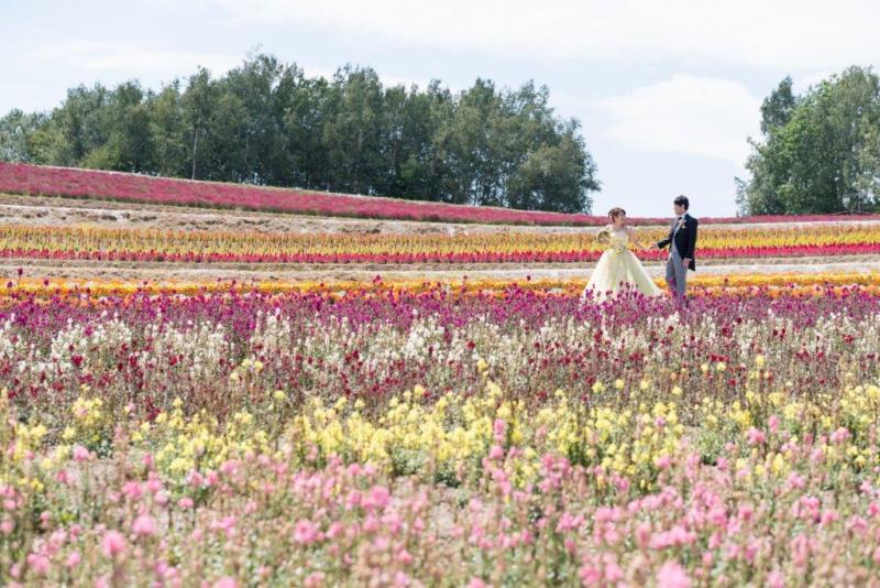 北海道お花畑で結婚写真。ラベンダーひまわりだけじゃない5つの手順