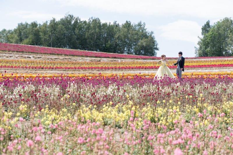 北海道お花畑で結婚写真。ラベンダーひまわりだけじゃない５つの手順