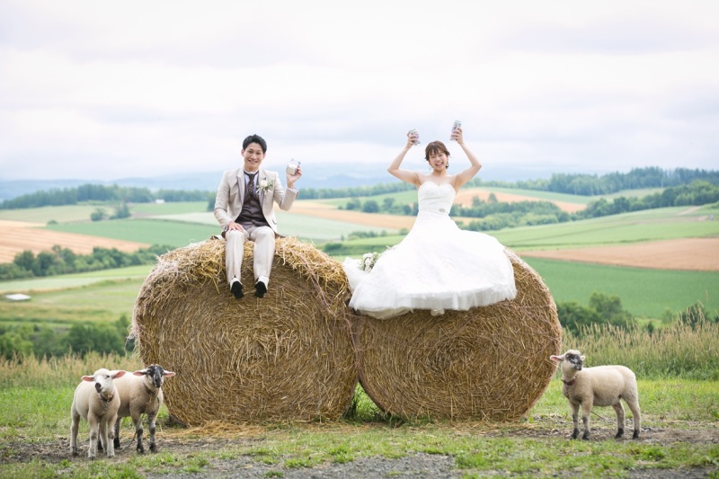 羊と馬に囲まれる優しい一枚