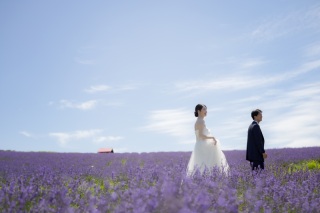 【7月限定】ラベンダーの時期予約受付中！