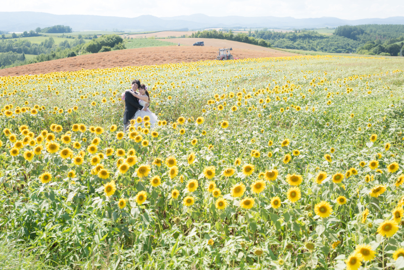 北海道美瑛町前撮フォトウェディングを楽しむ ２つの景色深堀情報