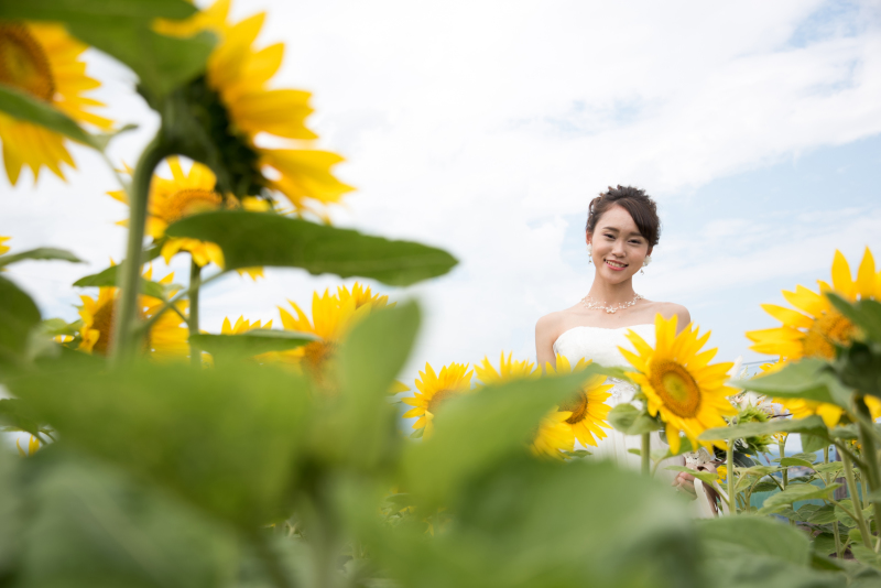 北海道お花畑で結婚写真。ラベンダーひまわりだけじゃない５つの手順