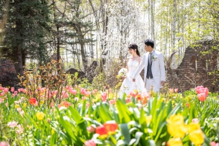 春の予約受付中！