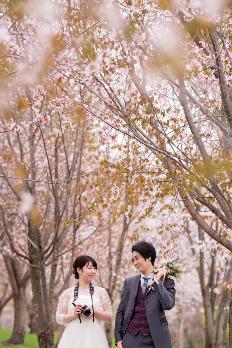 桜の季節のご予約も受付中