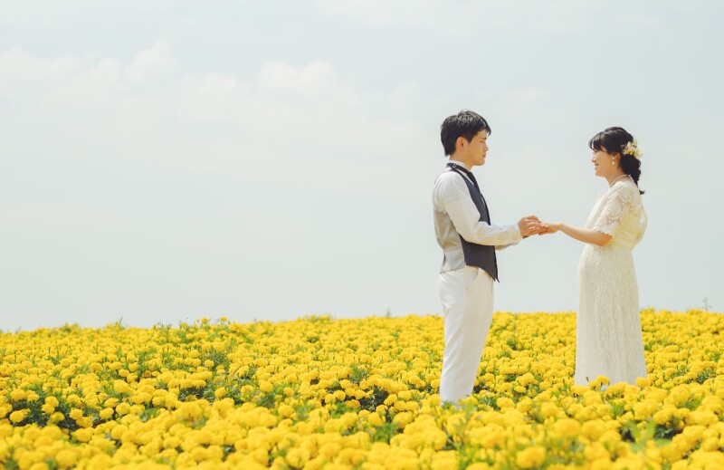 7月中旬から後半お花がカラフルに富良野2か所やさしマタニティフォトウェデイング
