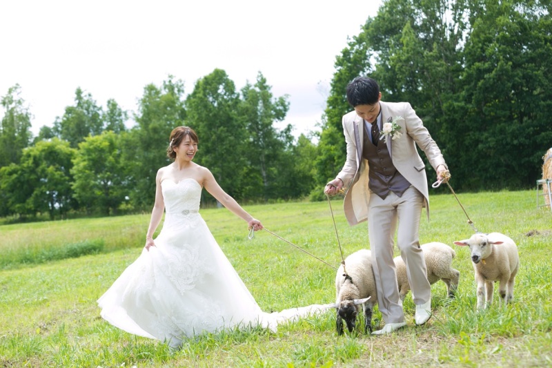 羊と馬に囲まれる優しい一枚