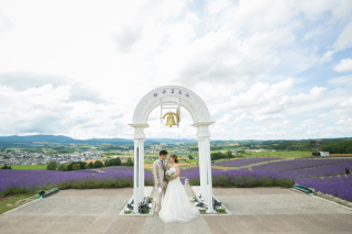 日の出公園のラベンダー畑