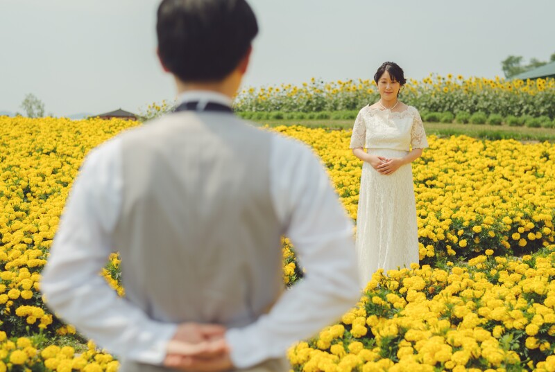 7月中旬から後半お花がカラフルに富良野2か所やさしマタニティフォトウェデイング