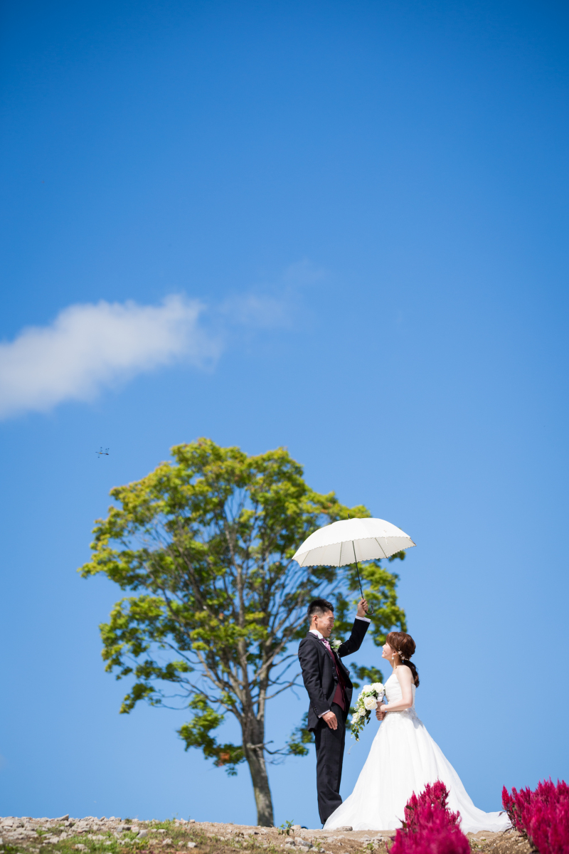 カラフルな体験お花畑 四季彩の丘 Ⅰ