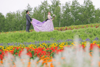 ７月の四季彩の丘②