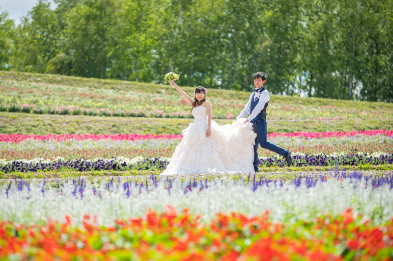 7月25日頃の美瑛富良野3か所巡遊日の出公園、千代田ファーム、四季彩の丘の感じ!