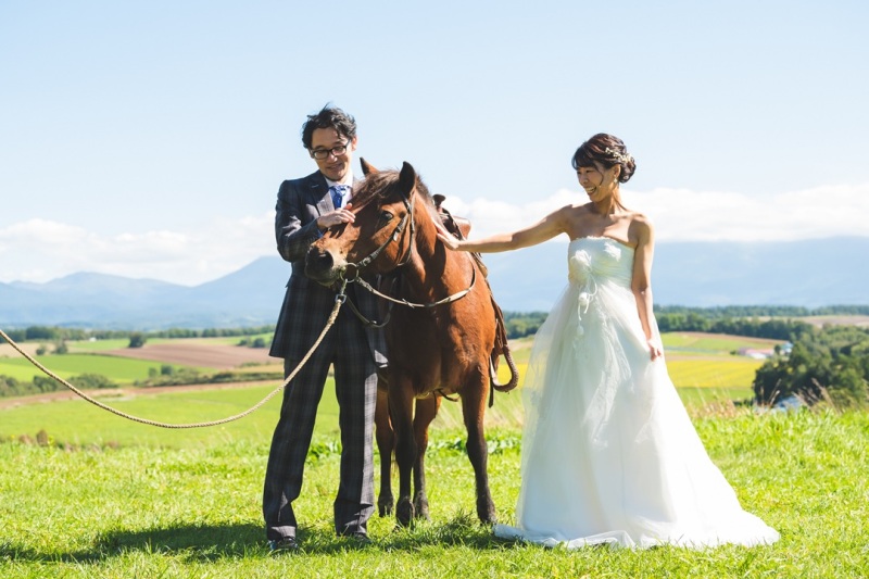 羊と馬に囲まれる優しい一枚