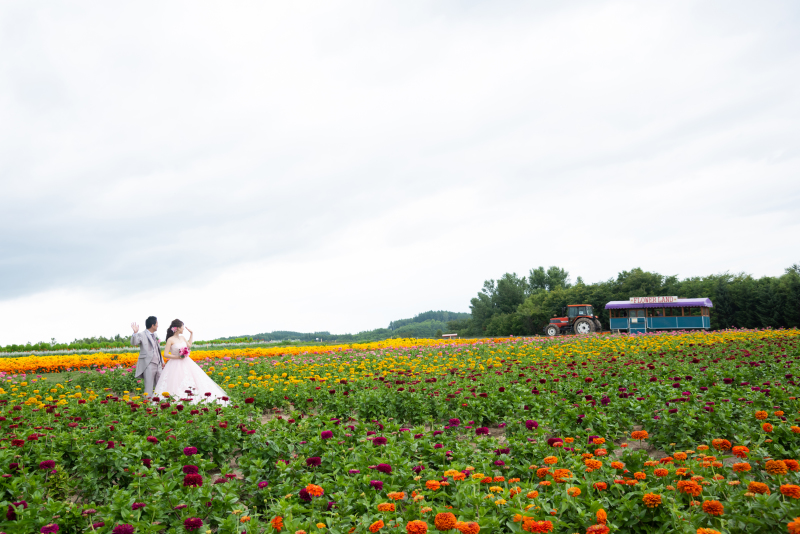 北海道、美瑛、富良野 ロケーションフォトが人を魅了する5つの理由