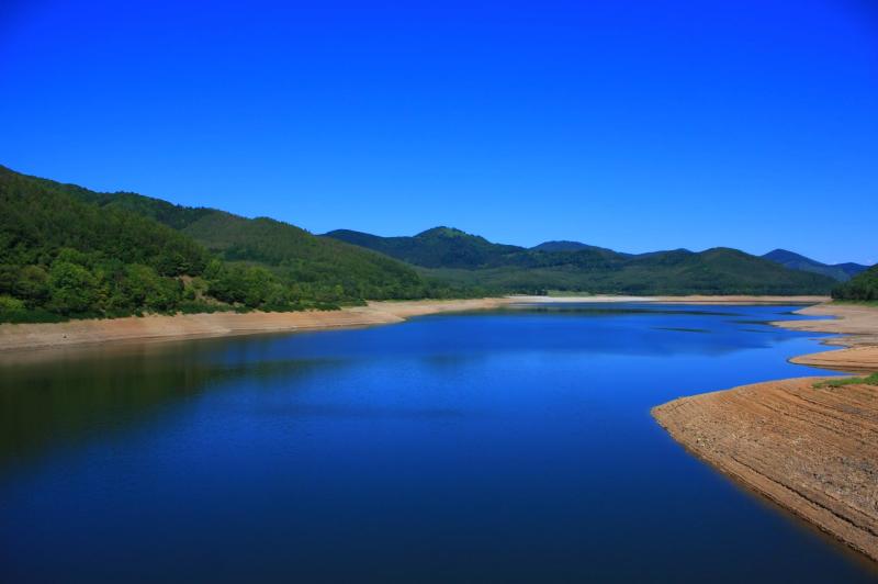 北海道フォトウェディング美瑛・富良野映える青と碧の5つの話 